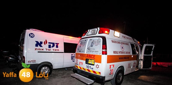 3aregmontreeh520 (40).jpg